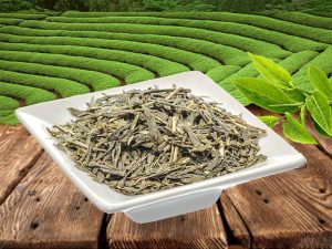 BIO SENCHA
